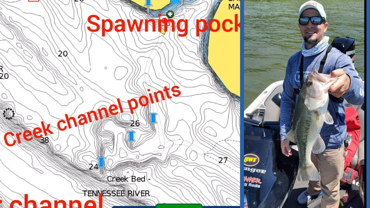 Good Ledge Fishing Trip on Pickwick Plus tips on Locating and Catching Finicky Offshore Bass
