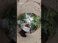 茨城県植物園走り回る