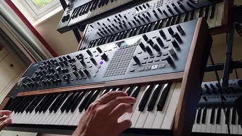 Arturia PolyBrute Demo  I No Talking + Custom Patches (6 & 12 Voice)