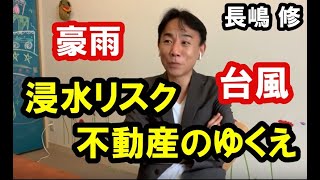 【怖い】浸水リスク不動産のゆくえ。政治・経済・ビジネス・不動産投資・マンション売買ティップス