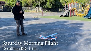 RC E-Flite Decathlon RJG 1.2m - Spektrum NX8 and 4S Battery - Slow Flying, Agile & Surprisingly Fast