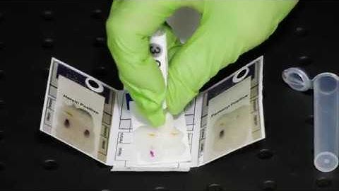 Field Forensics, Inc. Drugs Detection: Fen-Her Instructions