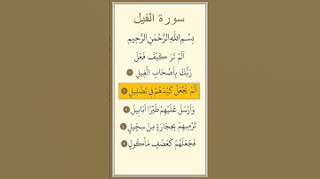 سورة الفيل مكررة بصوت ماهر المعيقلي