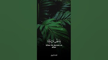 سورة مريم | ذلك عيسى ابن مريم قول الحق | تلاوة سالم الرويلي | تلاوة خاشعة هادئة اسمع وشارك غيرك