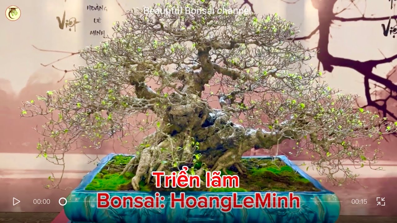 New: Triển lãm đặc biệt mang đậm phong cách quốc tế #thuanvigarden #bonsaihoangleminh