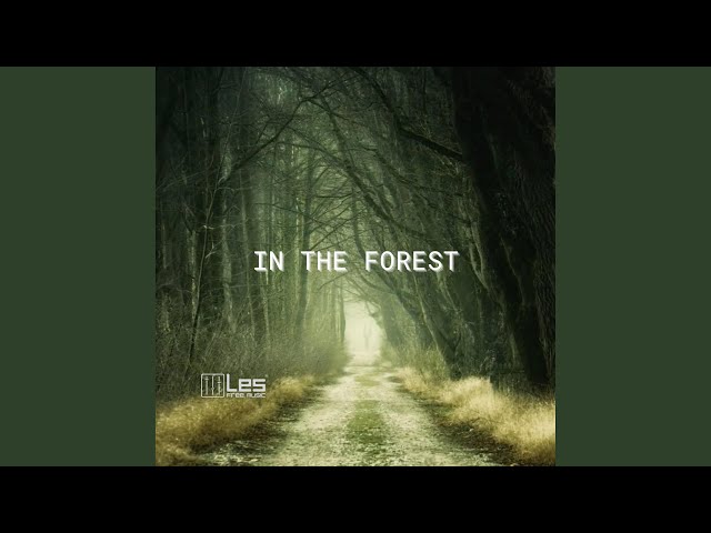 In The Forest (Instrumental)