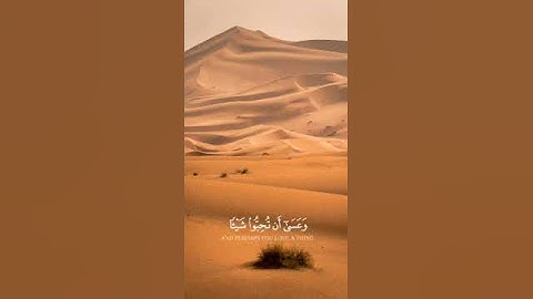 وَعَسَى أَنْ تَكْرَهُوا شَيْئًا وَهُوَ خَيْرٌ لَكُمْ | بصوت القارئ  مشاري العفاسي | ستوريات واتس اب