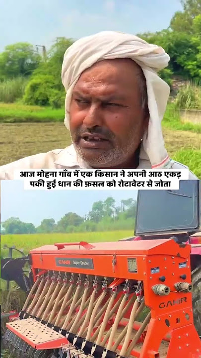 आज मोहना गाँव में एक किसान ने अपनी आठ एकड़ पकी हुई धान की फ़सल को रोटावेटर से जोता आइए सुनते हैं कि