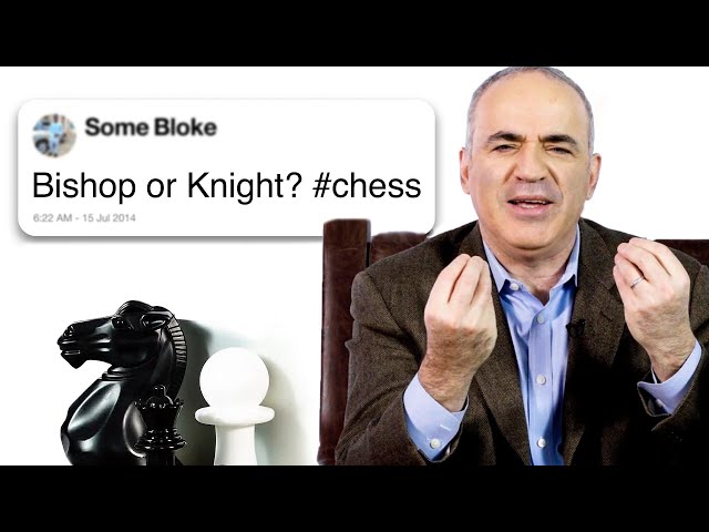 Top Chess Openings for Grandmasters: Expert Analysis — Eightify