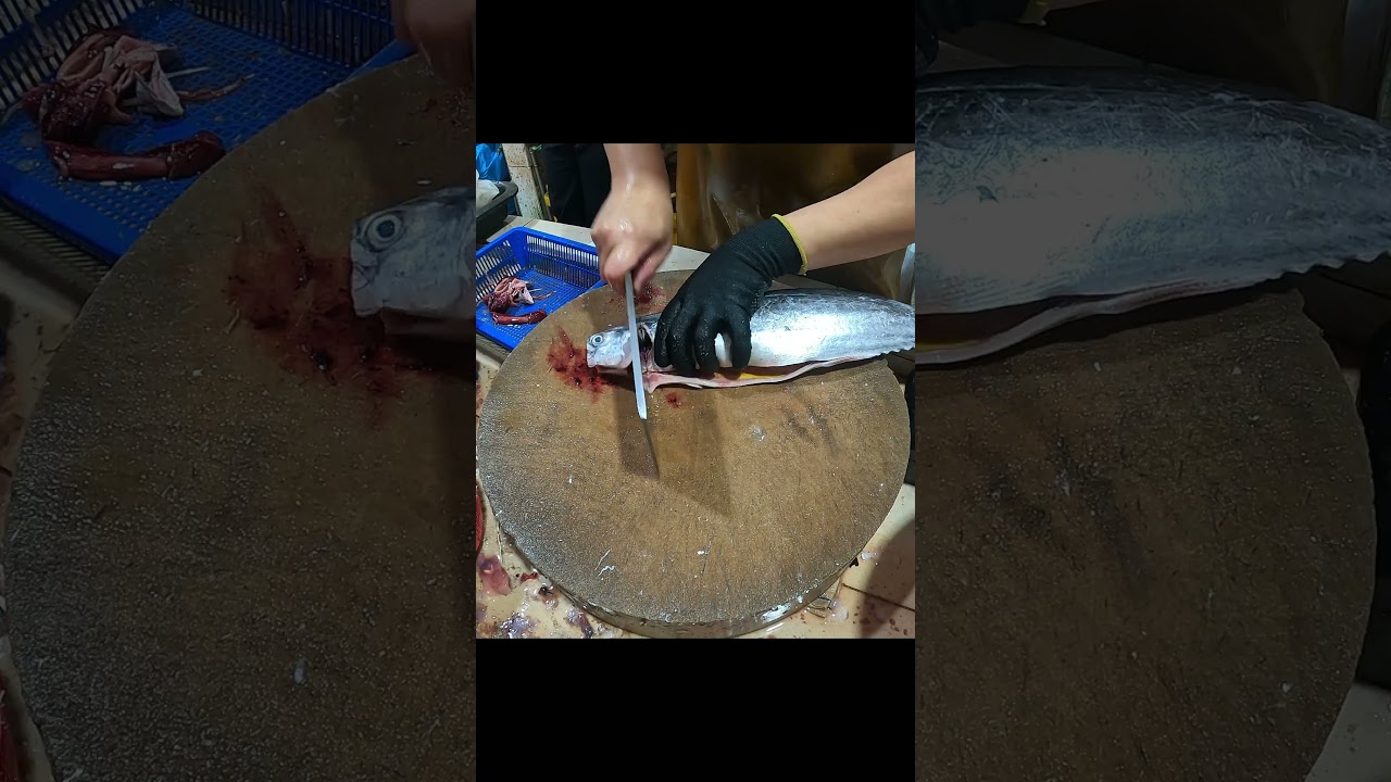 How to Fillet Spotted Mackerel Fast and Clean 