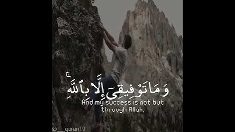 سورة هود وَمَا تَوْفِيقِي إِلَّا بِاللَّهِ عَلَيْهِ تَوَكَّلْتُ وَإِلَيْهِ أُنِيبُ مسموح بآخذ لفيديو