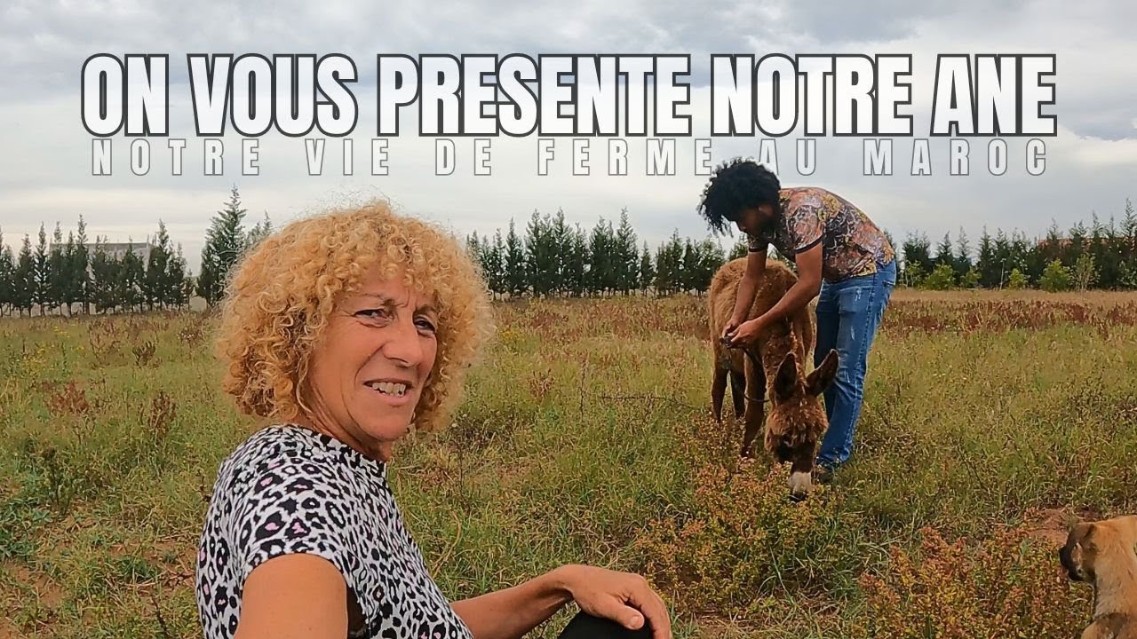 306- UN ADORABLE ÂNE REJOINT NOTRE FERME AU MAROC