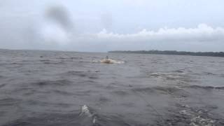 Haley&#39;s First Day of Wakeboarding