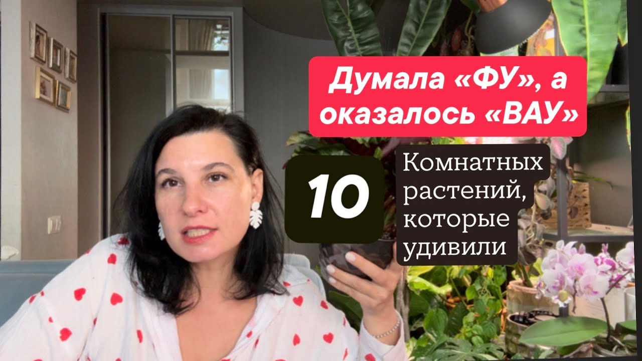 Думала «фу», а оказалось «вау». Комнатные растения, которые удивили. 