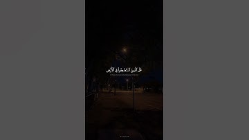 سورة القصص | #allah #القرآن_الكريم #القران_الكريم #الله #fy #explore #foryou #اكسبلور #المنشاوي #fyp