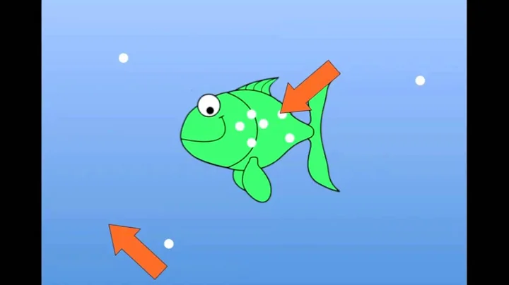 20 Second Story of Osmosis - Freshwater Fish