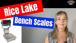 Rice Lake Ready N Weigh Bench Scales