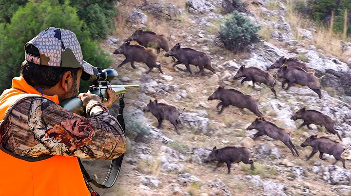 GIANT WILD BOAR INVASION: Massive Herds, Perfect Shots & Epic Hunts!