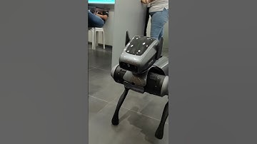 TECNO DYNAMIC 1 ROBOT DOG - AI and Remote control drive