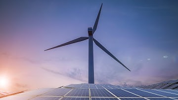 Net zero is a path to ‘economic destruction’