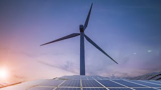 Net zero is a path to ‘economic destruction’ Profile