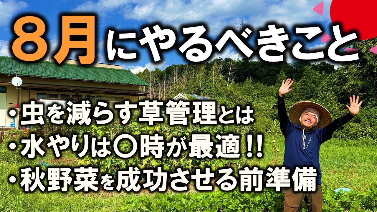 Home gardening/natural farming] What to do in August - YouTube