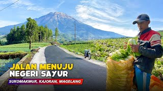 THE ROAD TO THE LAND OF VEGETABLES!! Natural Scenery of Sukomakmur Vegetable Country, Magelang