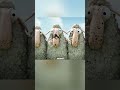 Why Did the Little Lamb Turn Out This Way?
