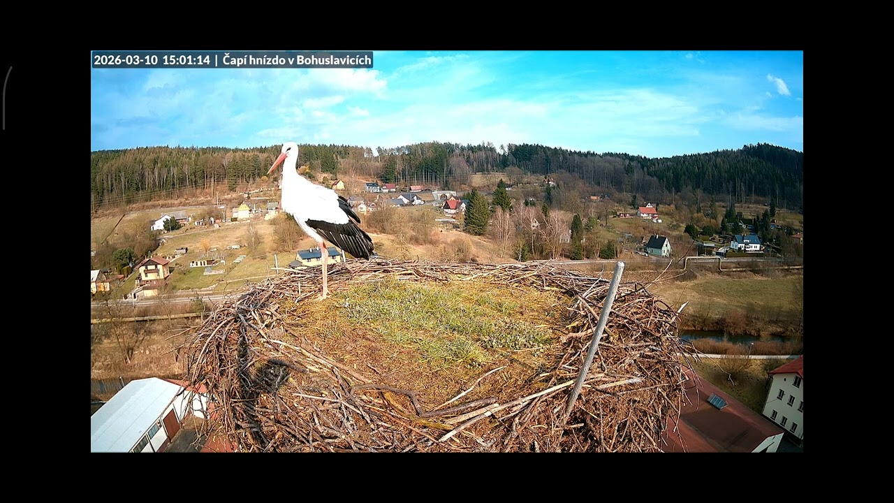 Bohuslavice 10.3.2026