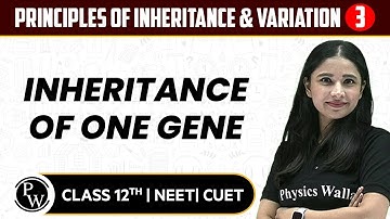 Principles of Inheritance & Variation 03 | Inheritance of One Gene | Pure English | 12th / NEET/CUET