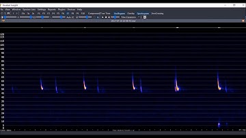 Anabat Insight Getting Started Tutorial Video