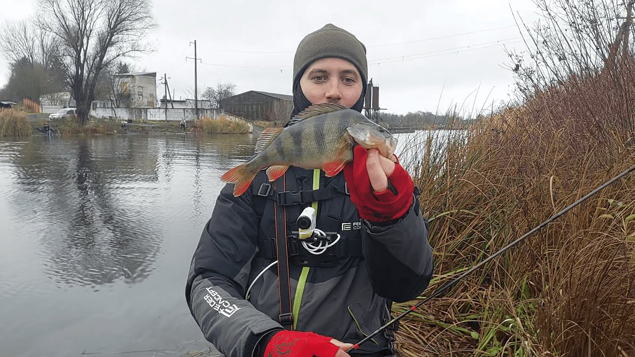 БУРШТИН. Гнила Липа. МОРМИШИНГ.