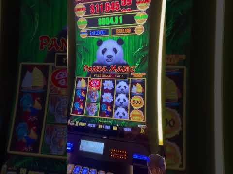 Speed Blackjack J | Pin up casino game kaise khele