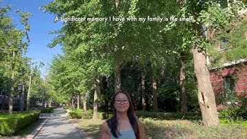 Shanghai, China: Ginkgo Tree