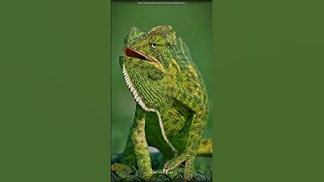 How mobile touch screen work #science #sciencefacts