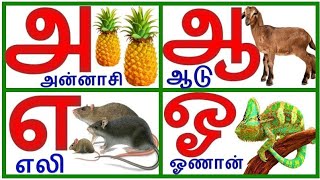 உயிர் எழுத்துக்கள்|அ ஆ இ ஈ | அம்மா, ஆடு, இலை, ஈசல் learn Tamil alphabets litters|@PRINIT1419 screenshot 5