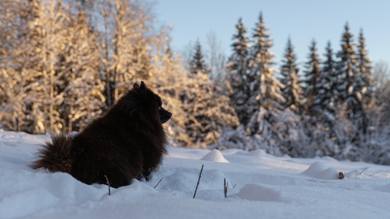 Hiking & Cooking | Raining in Winter
