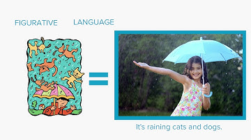 Literal and Figurative Language