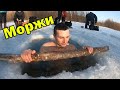 Купание в проруби/моржи Аксу, Я не морж!!!)))