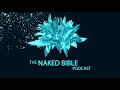 Naked Bible Podcast 223 — Question & Answer #31