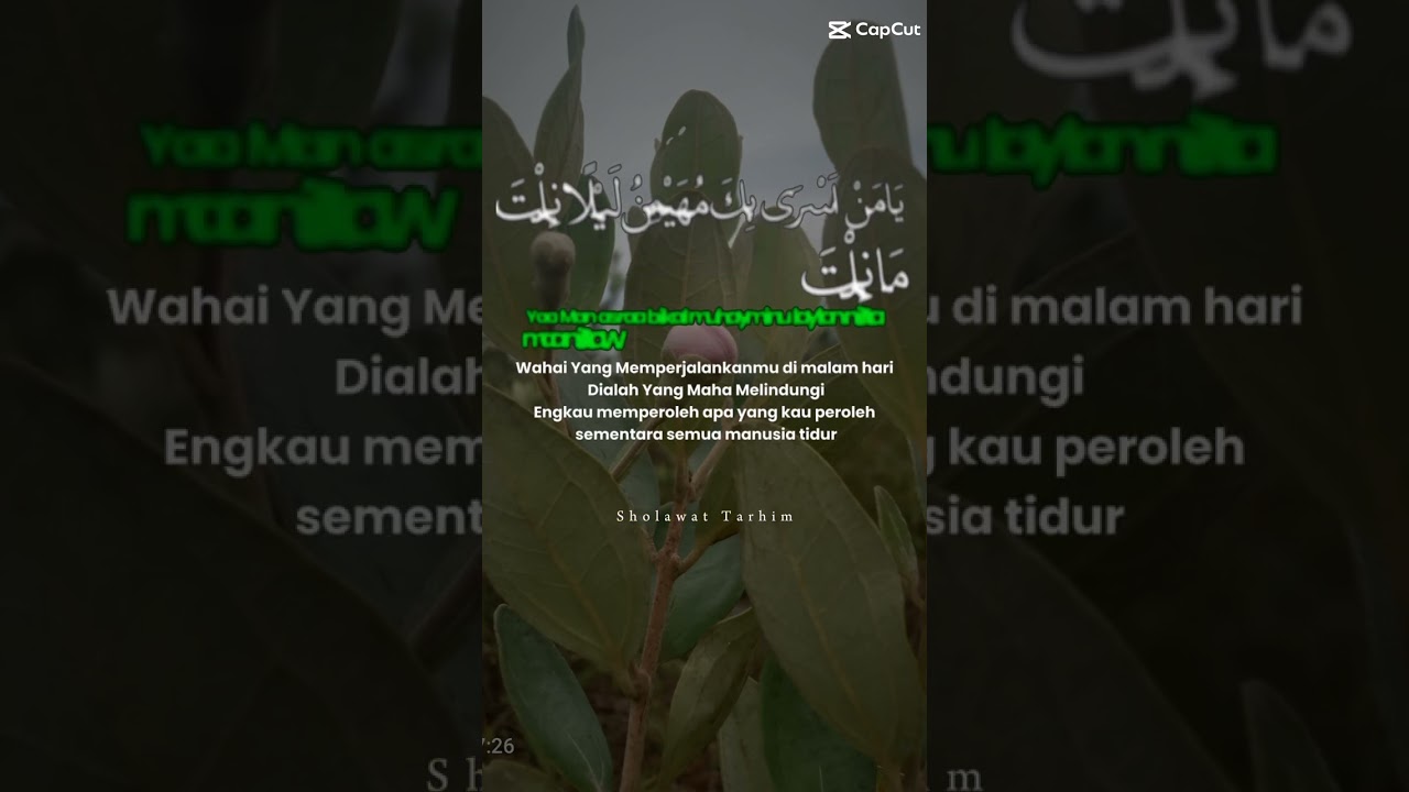 Solawat Tahrim #citarosul #viral #islam