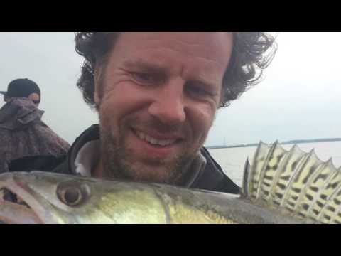 Pelagic fishing, casting,