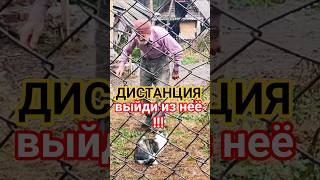 ДИСТАНЦИЯ - ВЫЙДИ из неё !  Не вмешивайся ❗ #тимартдан #мудрость  #мысли