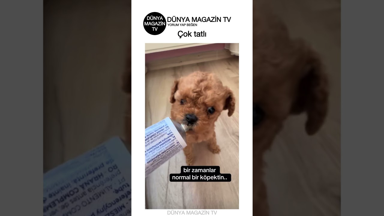 Çok tatlı demi