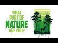 What Part of Nature Are You?