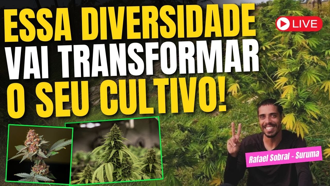 Como melhorar o cultivo com Diversidade na agricultura orgânica e microorganismos benéficos