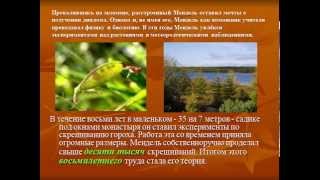 Грегор Мендель презентация по биологии Грегор Мендель презентация по биологии
