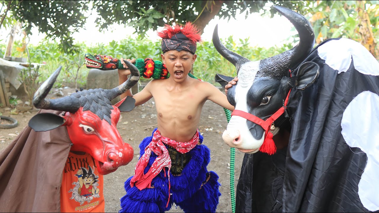 GANAS‼️ BANTENGAN SAPI VS BANTENGAN MANGAPAN MERAH MBEROT KALAPAN NDADI
