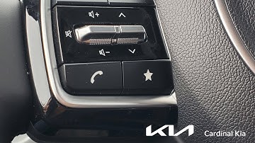 CK - 2022 Kia Carnival - How To Use Your Custom Button!