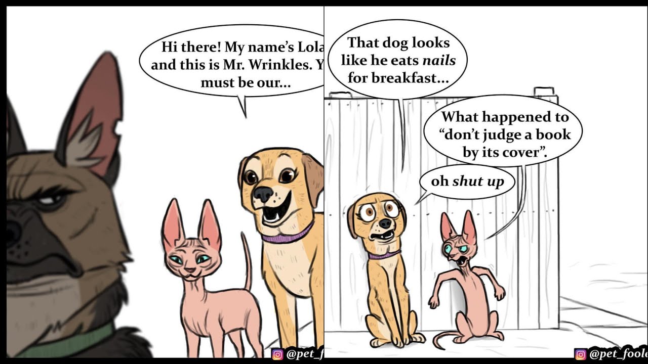 Brutus meets Lola & Mr. Wrinkles | Pixie and Brutus comic dub